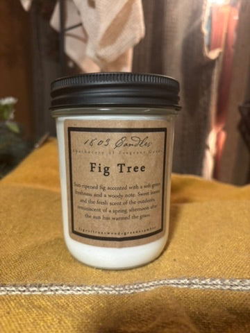 Fig Tree