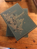 Medium Journals