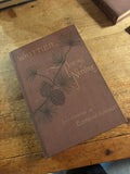 Medium Journals