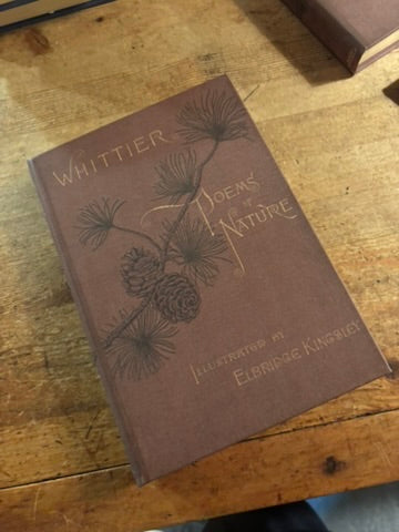 Medium Journals
